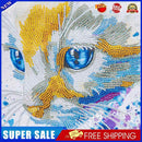 Part Drill Special Shaped DIY Cat 5D Crystal Rhinestones Diamond Painting