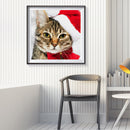 5D Diamond Painting Cat Full Round Drill Mosaic Art Home Wall Decor (A1075)