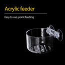 Fish Tank Acrylic Red Worm Cup Aquarium Suction Cup Hanging Floating Container