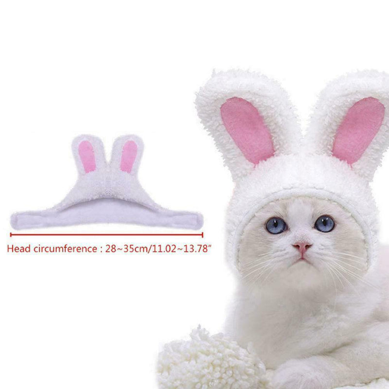Cute Cat Headgear Bunny Drag Hat Cat Dog Headwear Costume PhotoProps F7X7
