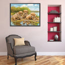 5D DIY Diamond Painting Kits Puppy Full Round Drill Wall Decor Art Crafts Mosaic