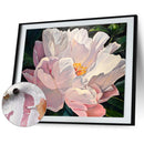 Hand Painted Oil Paint By Numbers Kit DIY Acrylic Peony Flower Canvas Paint