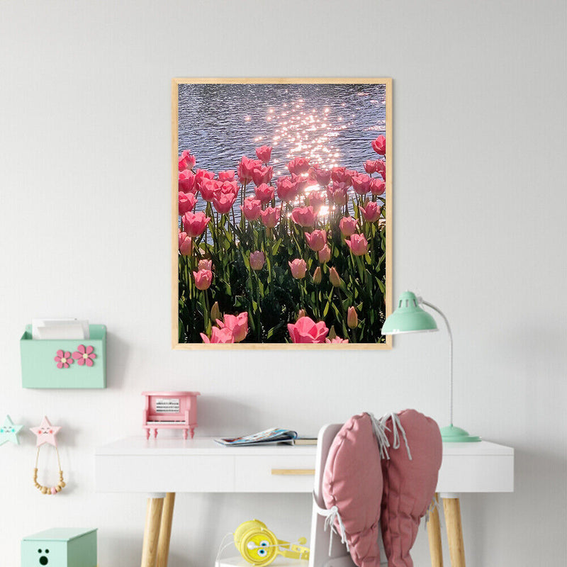 Tulip Oil Paint By Numbers Kit Frameless Drawing Picture 40x50cm (B1665)