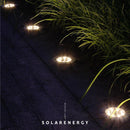 8LED Solar Underground Light Waterproof Garden Buried Lamp (Warm Light) Newly
