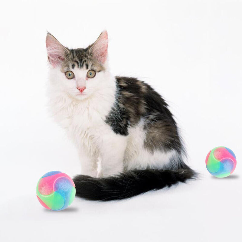 Flashing Elastic Teddy Dog Rubber Ball Pet Color Durable Interact Light up