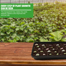 Seed Starter Trays, Planting Seedlings Growing Trays Kit for Vegetable, Flower