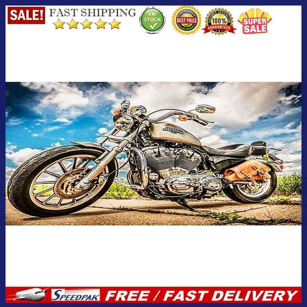 Motorcycle Oil Paint By Numbers DIY Handpainted on Canvas Wall Picture Unfr