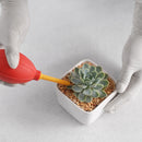 Garden Planter Kit Succulent Planting DIY Tool Seedling Tool (16pcs Pink) Newly