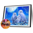 5D Full Round Diamond Painting White Owl Rhinestone Mosaic Home Wall Craft
