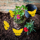 12Pack Yellow Sticky Fruit Fly Traps For Indoor And Trap Outdoor Fly Use Z2U3