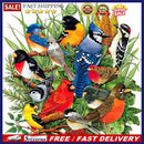 Diamond Full Drawing DIY Drill Round Rhinestone Birds Gathering 5D Painting K