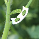 50pcs Plastic Tomato Fixing Clip Fruit Seedling Hanging Reinforcement Anti Bend