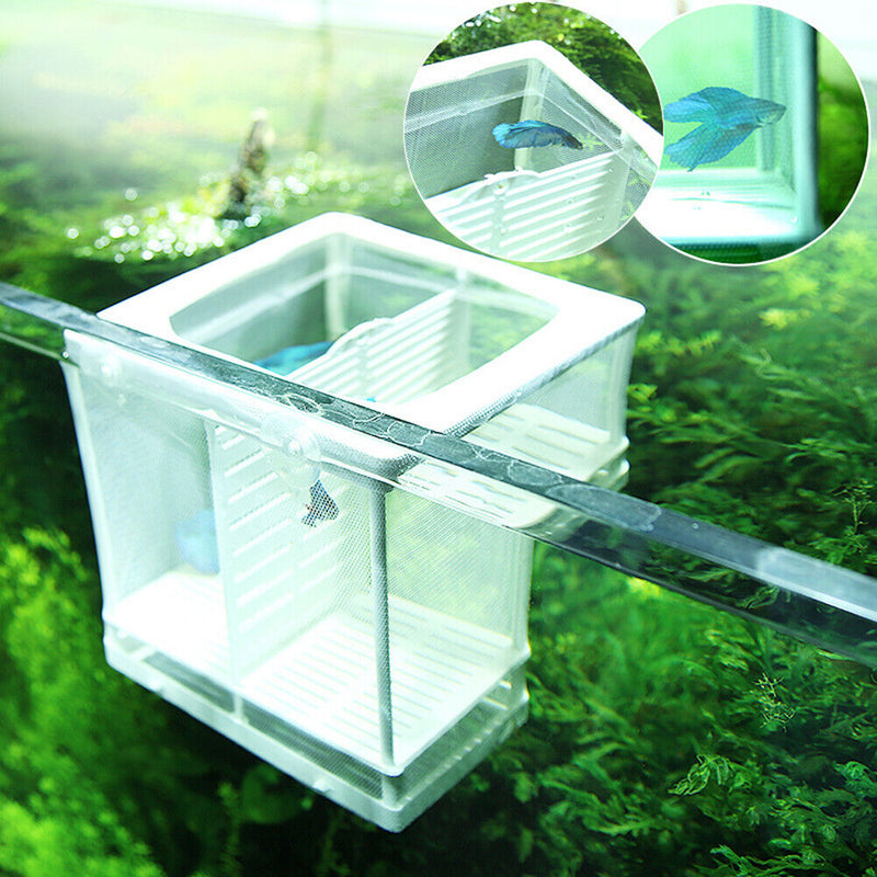 Aquarium Guppy Breeding Gauze Trap Box Tank Fish Baby Insulator Incubator Breeder