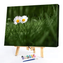 Painting By Numbers Oil Picture Artwork DIY Hand Painted Canvas Meadow Daisy Kit