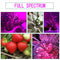 50W Full Spectrum IP67 Waterproof Plant Flower COB LED Grow Light(90-130V) Newly