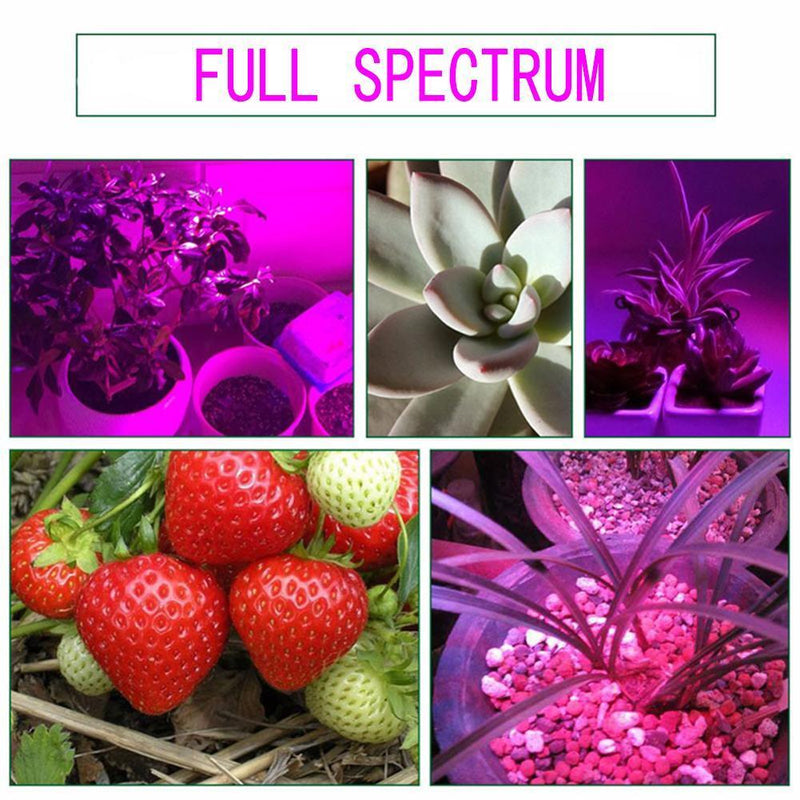 50W Full Spectrum IP67 Waterproof Plant Flower COB LED Grow Light(90-130V) Newly