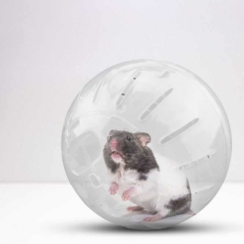 Clear Plastic Pet Rodent Mini Jogging Ball Hamster Exercise Running Ball Toys