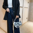 Fashion Zebra Pattern Women Shoulder Bag Clear Acrylic Chain Handbag (2)