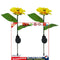 2 Packs Solar Sunflower Lights, Waterproof LED Garden Lamp, for Lawn, Yard Newly