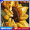 Sunflower 20X20cm Frameless Oil Paint By Numbers DIY Painting Crafts (S558)