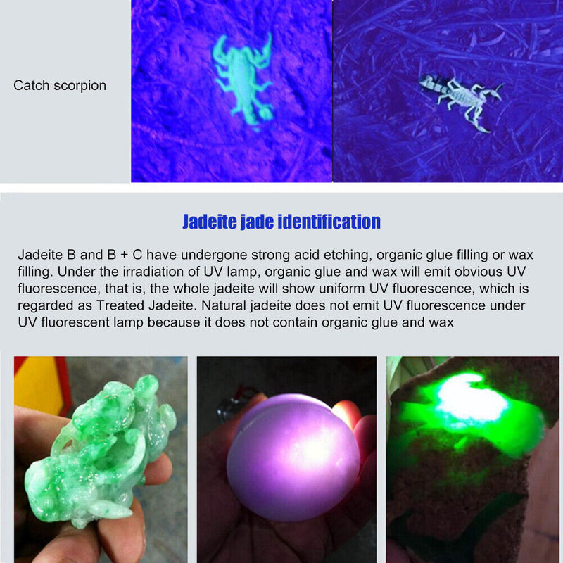 9LED UV Mini Portable Flashlight Purple Light 395-400nm Ultraviolet Torch Lam