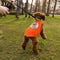 Summer Thin Puppy Clothes DIY Applique Diamond Orange Breathable Dog Cat Shirts