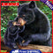 5D DIY Full Drill Diamond Painting Black Bear Embroidery Mosaic Handicraft Kit