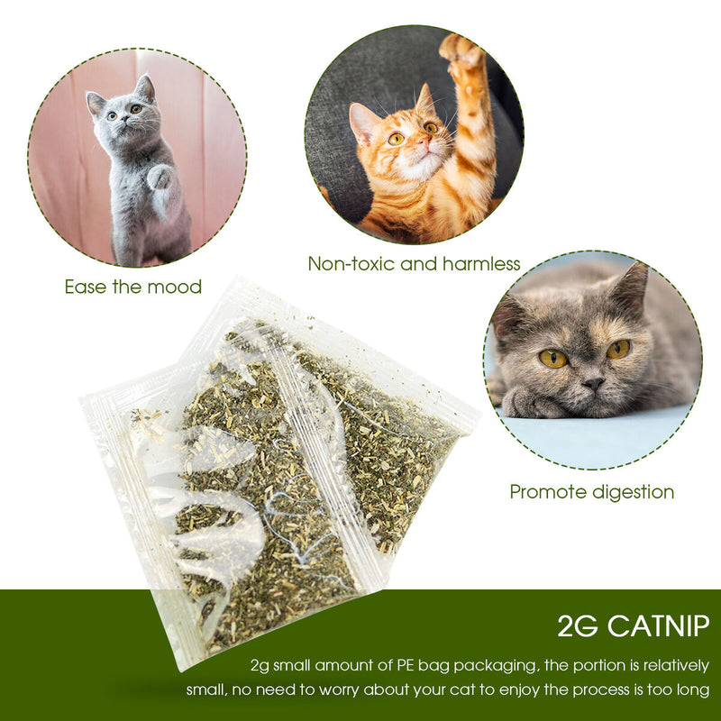2g Catnip Bag for Cats, PE Bag Package, Refillable Catmint Herb for Toys
