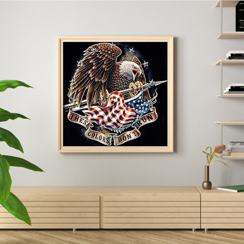 Eagle and Flag Frameless Oil Paint by Numbers Kit DIY on Canvas Picture Art