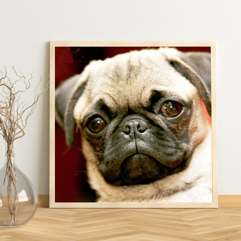 Canvas Painted Oil Paint By Numbers Dog Animal DIY Wall Art Modern Bedroom Decor
