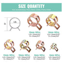 60pcs Auto Water Oil Pipe Hose Clamp Corrosion Resistant Fastener Assortmen