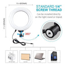 Ring Light Video Light Kit 6.2 inch 16cm 110cm Tripod Stand For Tik Tok YouTube
