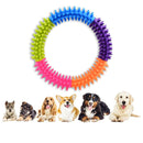 Pet TPR Training Ring Colorful Dog Cat Molar Chew Toys Teeth Cleaning Bite Game