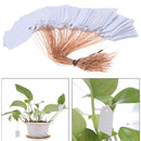100Pcs Waterproof Plastic Nursery Garden Plant Label Flower Tag Mark 4.5*3