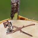 Grafting Pruner Garden Tools Branch Cutter Shearer Pruning Fruit Tree Scissors