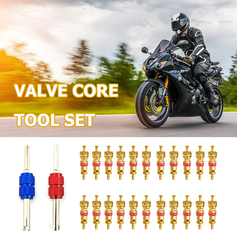 20pcs Tyre Valve Core with 2 Professional Bike Tubes Service Parts Tool for