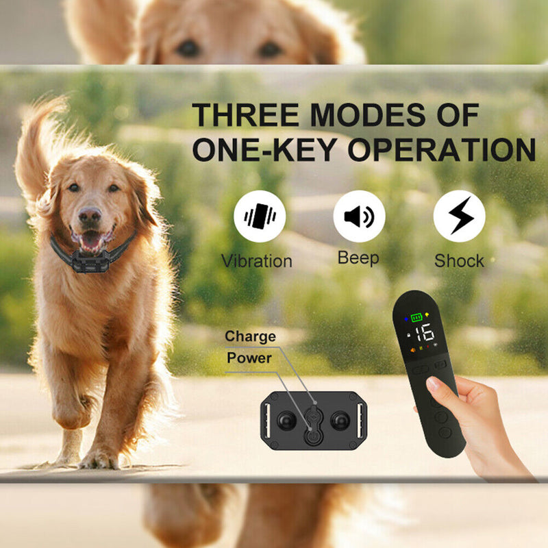 3 Modes Anti Bark Collar with Lights Waterproof Stop Barking Collar Pet Products