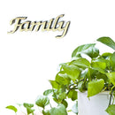 Family Letters DIY Wooden Decals Walls Furniture Ornaments Home Decorations