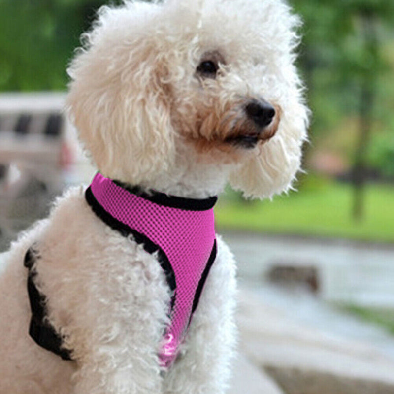 Reflective Cat Dog Collar Harness Comfortable Kitten Vest Harnesses for Training