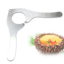 Stainless Steel Sea Urchin Scissors - Multipurpose Ultra Sharp Utility Tool