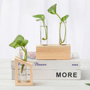 Glass Ornaments Hydroponic Plants Test Tube Vase Wooden Stand Test Tube Vase
