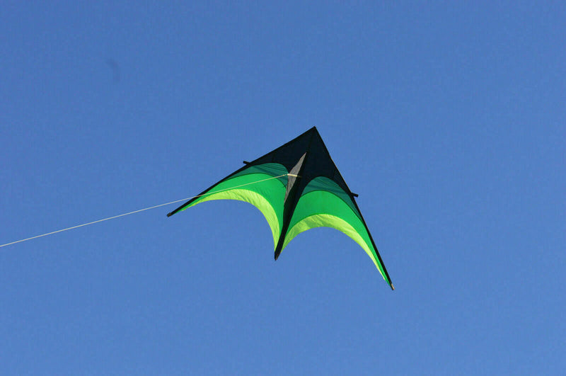 Large Delta Kite For Kids And Adults Single Line Easy Kite w Fly Handle To S9S8