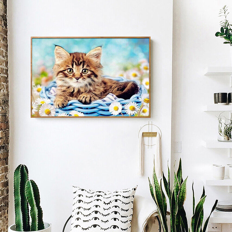 DIY Abstract Acrylic Picture Gift Cat in Basketball Digital Oil Hand Painting Kit