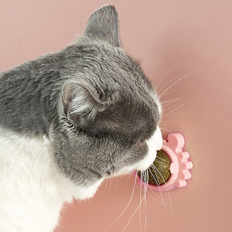 Rotatable Cat Toys with Catnip Snack Licking Ball Pet Molar Teeth Cleaning