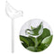 Glass Plant Flowers Water Feeder Self Watering Bird Waterer Device*1 X0A5