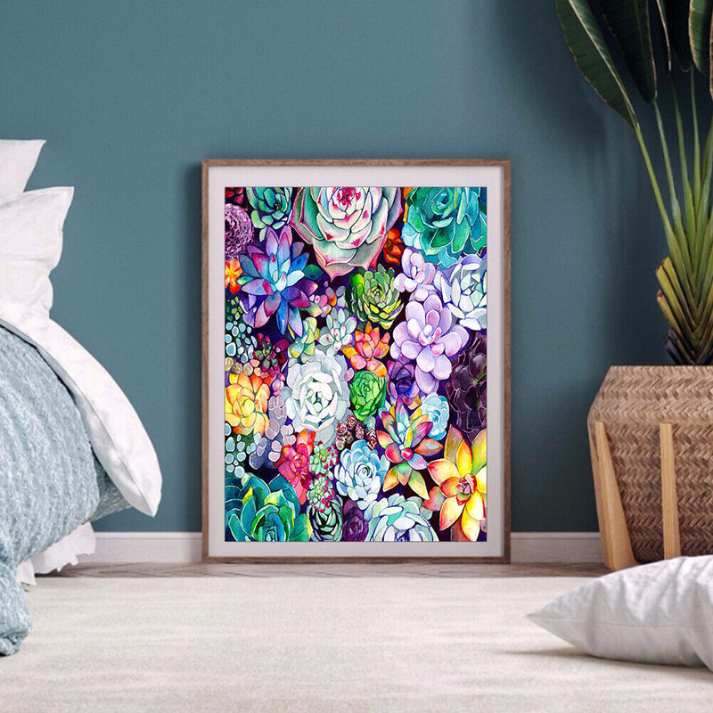 Succulents 40x50cm Oil Paint By Numbers Picture DIY Painting M682