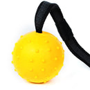 Pet Ball Bite Resistant Tooth Cleaning Toys for Dog Training Chew(Yellow L)
