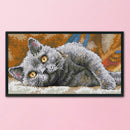 DIY Print 14CT Stamp Kit Needlework Cross Stitch Artwork (DA254 Black Cat)