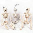 Halloween Full Life Size Decoration Party Prop Human Skeleton Oversized Poseable