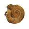 Ammonite Woman Ancient Spirit Mini Statue Desktop Decor Ornament S1J5